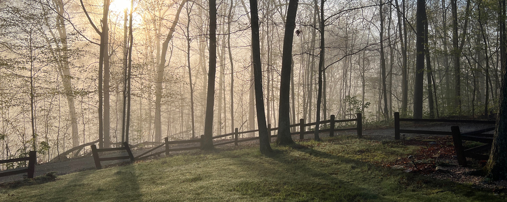 Dawn on top of the hill