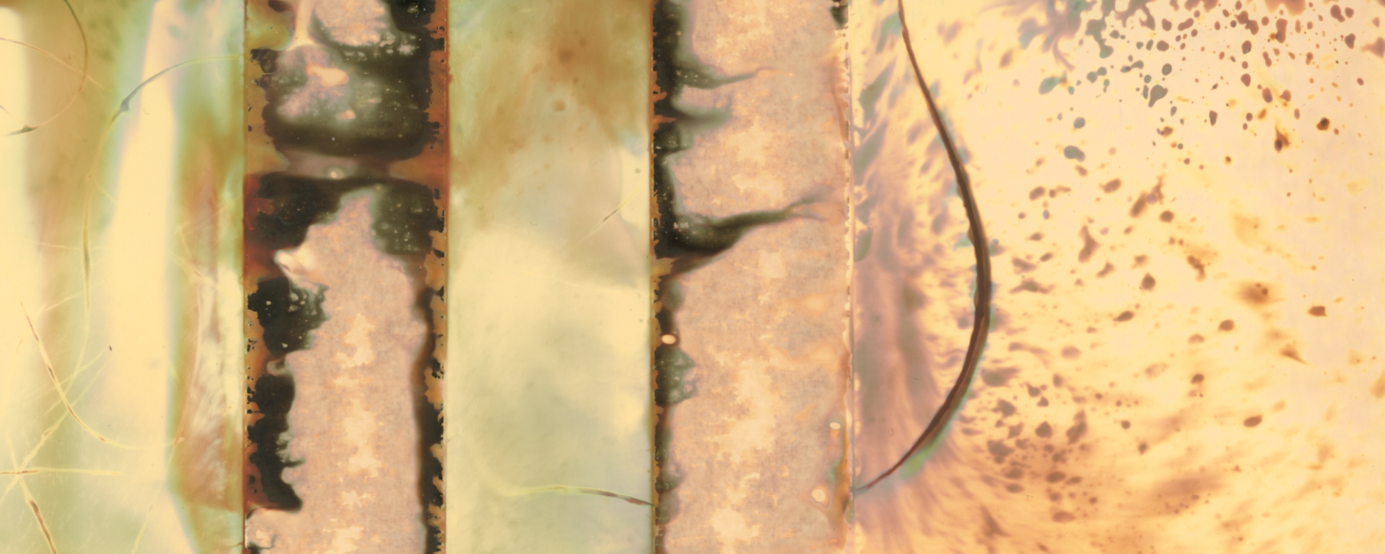 chemigram detail